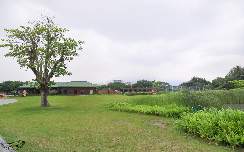 花蓮農場.花蓮免費親子景點》台開心農場，梅花鹿、馬場、孔雀、火鶴，大馬場騎馬體驗 @緹雅瑪 美食旅遊趣