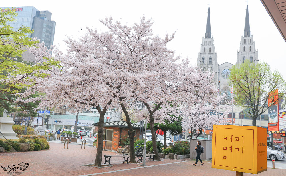 大邱賞櫻咖啡館》咖啡名家 커피명가 草莓蛋糕|桂山聖堂旁 @緹雅瑪 美食旅遊趣