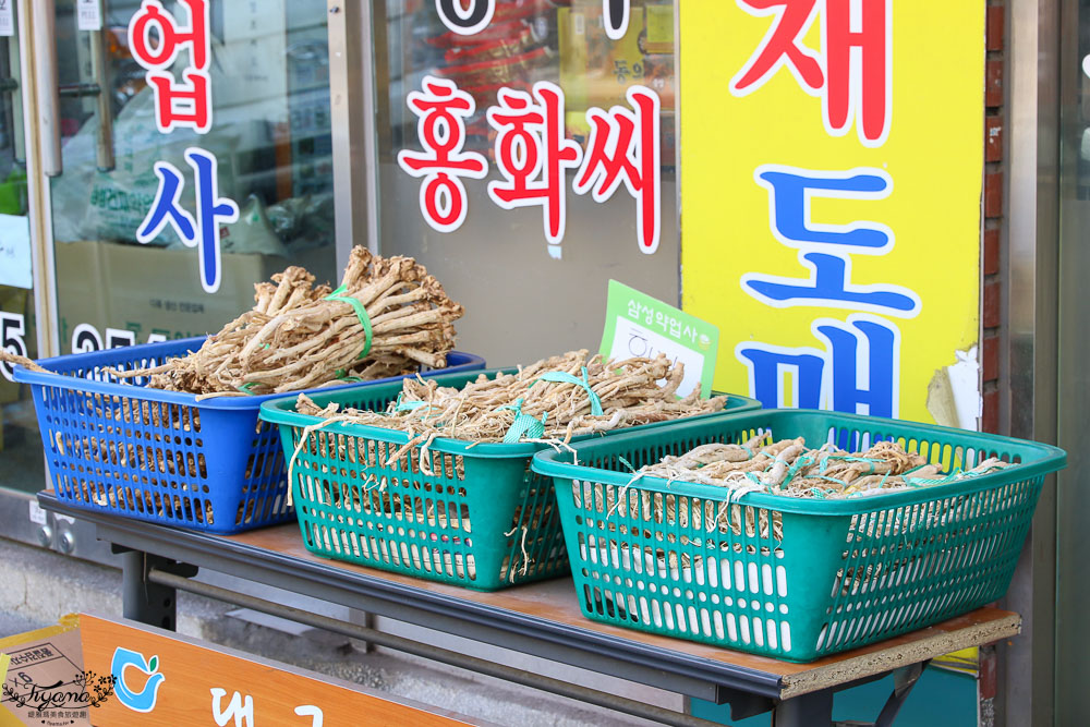 韓國大邱排隊美食》巨松燉排骨、藥令市場，近代文化胡同路線必吃美食！ @緹雅瑪 美食旅遊趣