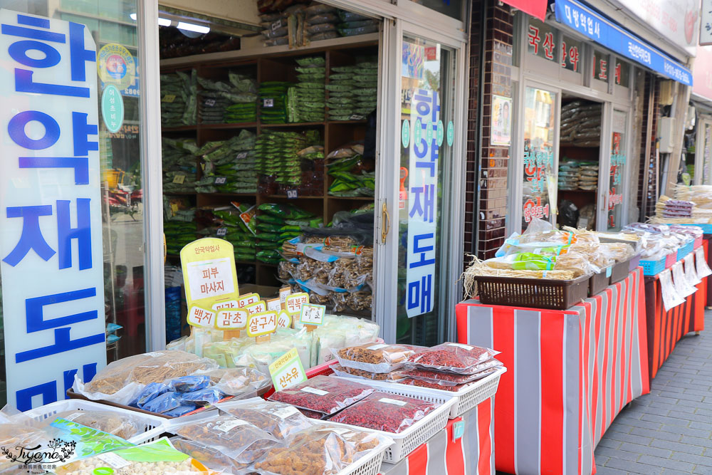 韓國大邱排隊美食》巨松燉排骨、藥令市場，近代文化胡同路線必吃美食！ @緹雅瑪 美食旅遊趣