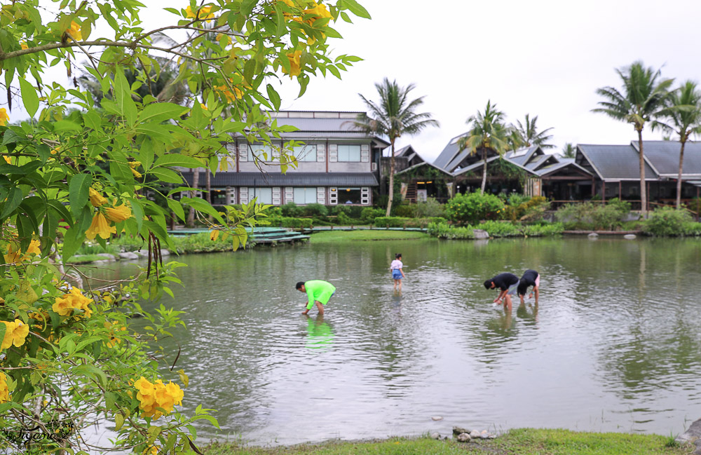 花蓮親子景點，立川漁場 黃金蜆的故鄉，餵魚摸蜊仔體驗 @緹雅瑪 美食旅遊趣