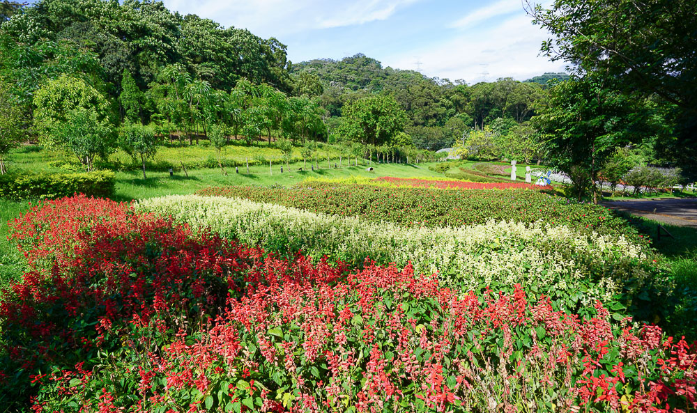 桃園花海.桃園景點.桃園艾摩石像》大溪花海農場，滑草、巨大摩艾出沒，一秒置身國外！！ @緹雅瑪 美食旅遊趣