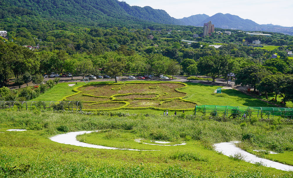 桃園花海.桃園景點.桃園艾摩石像》大溪花海農場，滑草、巨大摩艾出沒，一秒置身國外！！ @緹雅瑪 美食旅遊趣