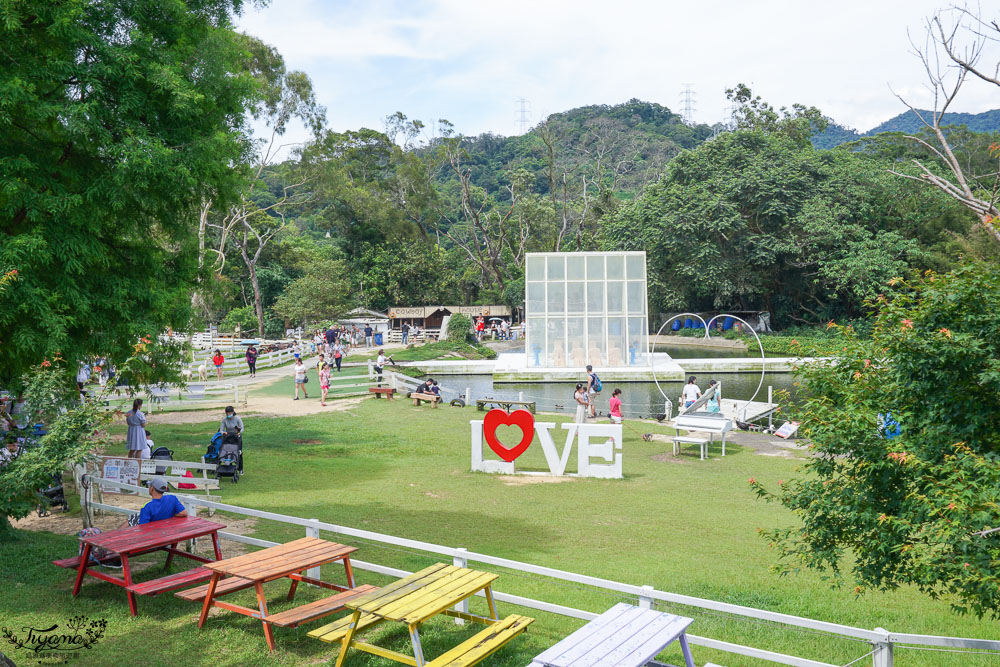 桃園景點.桃園農場》富田花園農場，羊駝野放農場，餵食動物零距離！！ @緹雅瑪 美食旅遊趣