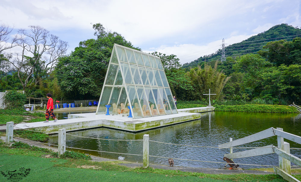 桃園景點.桃園農場》富田花園農場，羊駝野放農場，餵食動物零距離！！ @緹雅瑪 美食旅遊趣