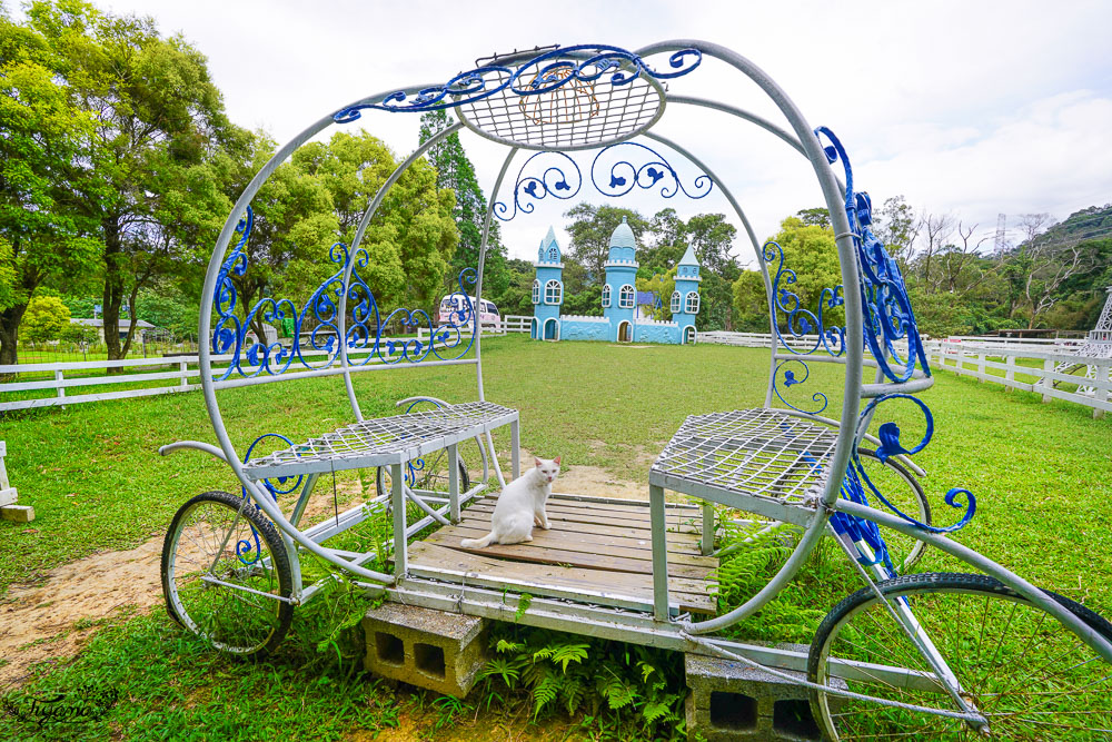 桃園景點.桃園農場》富田花園農場，羊駝野放農場，餵食動物零距離！！ @緹雅瑪 美食旅遊趣