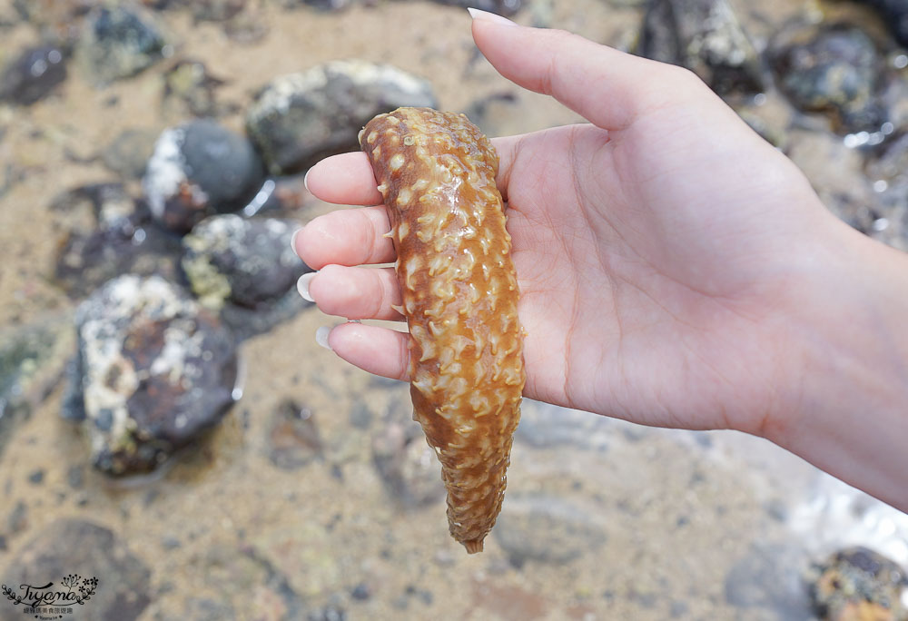 【澎湖景點】澎湖8個必遊網美景點！！花火節、暑假行程提前佈局起來~ @緹雅瑪 美食旅遊趣