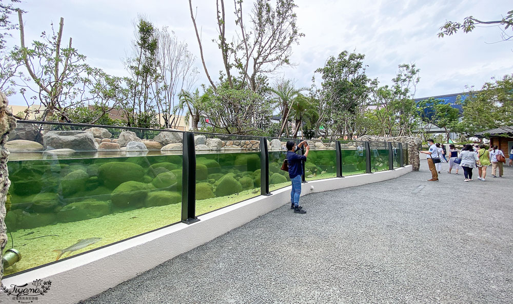 桃園Xpark水族館攻略&#038;企鵝咖啡廳 門票.交通，桃園新景點 Xpark 都會型水生公園 @緹雅瑪 美食旅遊趣