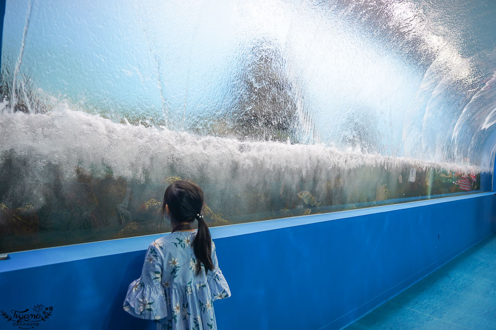 桃園Xpark水族館攻略&#038;企鵝咖啡廳 門票.交通，桃園新景點 Xpark 都會型水生公園 @緹雅瑪 美食旅遊趣