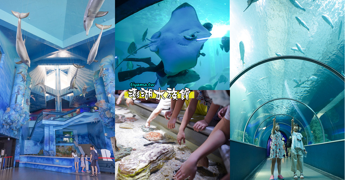 澎湖親子景點推薦，澎湖水族館門票、餵食秀時間、觸摸池開放時間 @緹雅瑪 美食旅遊趣