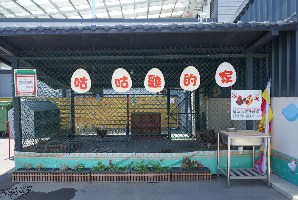 桃園熱門景點》蛋寶生技不老村，浴衣體驗、神社鳥居，一秒到日本！！ @緹雅瑪 美食旅遊趣