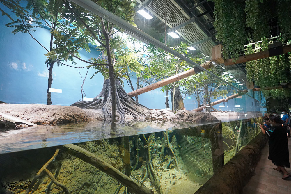 桃園Xpark水族館攻略&#038;企鵝咖啡廳 門票.交通，桃園新景點 Xpark 都會型水生公園 @緹雅瑪 美食旅遊趣