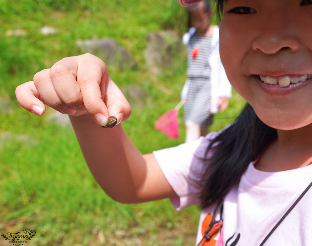 南投埔里親子體驗活動》桃米魚蝦生態探索，親子同樂溯溪生態觀察，知性之旅好好玩！！ @緹雅瑪 美食旅遊趣