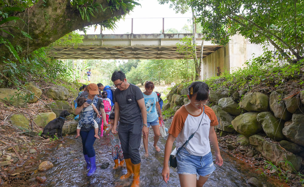 南投埔里親子體驗活動》桃米魚蝦生態探索，親子同樂溯溪生態觀察，知性之旅好好玩！！ @緹雅瑪 美食旅遊趣