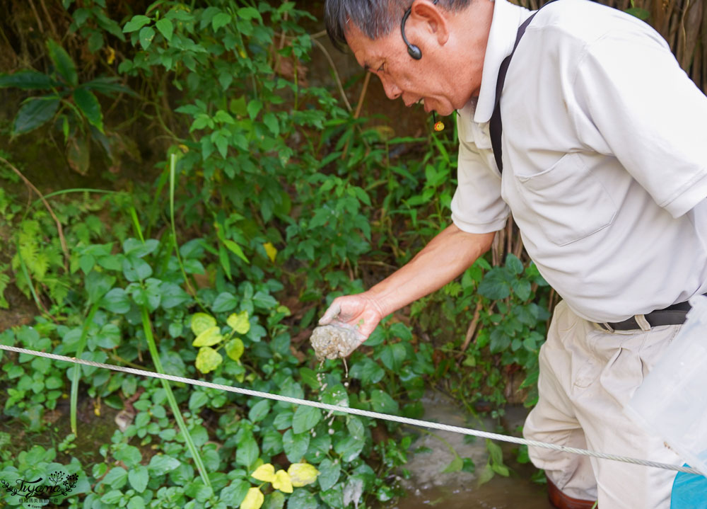 南投埔里親子體驗活動》桃米魚蝦生態探索，親子同樂溯溪生態觀察，知性之旅好好玩！！ @緹雅瑪 美食旅遊趣