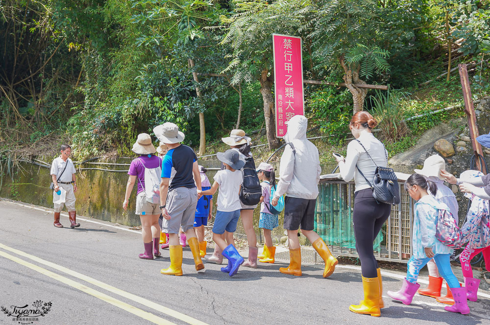 南投埔里親子體驗活動》桃米魚蝦生態探索，親子同樂溯溪生態觀察，知性之旅好好玩！！ @緹雅瑪 美食旅遊趣