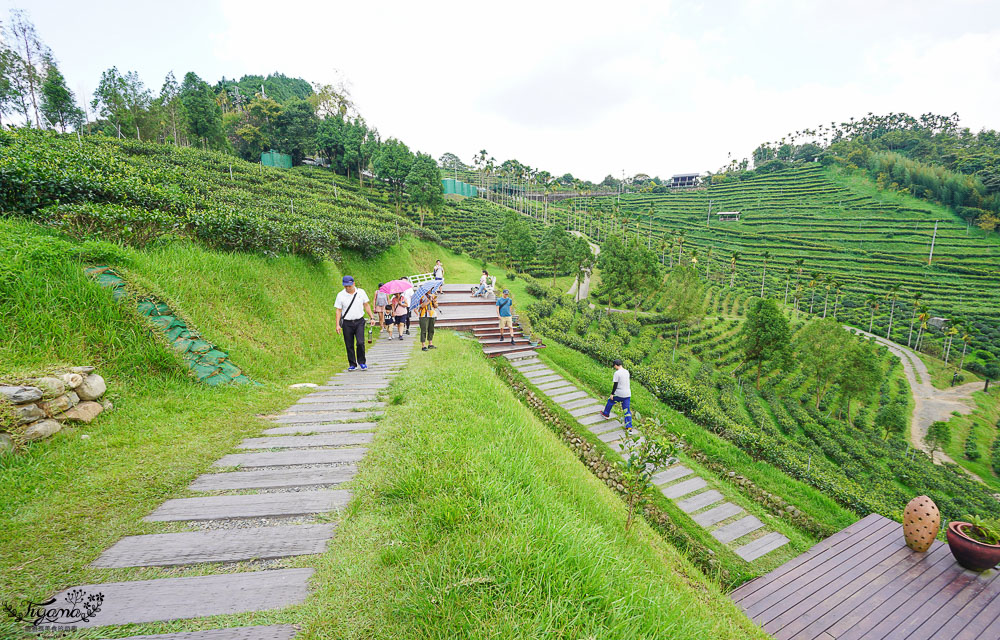 南投景點絕美咖啡莊園，鹿篙咖啡莊園，山間裡的獨棟景觀咖啡廳！！ @緹雅瑪 美食旅遊趣