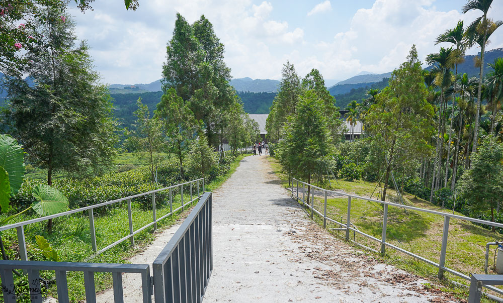 南投景點絕美咖啡莊園，鹿篙咖啡莊園，山間裡的獨棟景觀咖啡廳！！ @緹雅瑪 美食旅遊趣