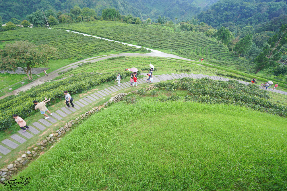 南投景點絕美咖啡莊園，鹿篙咖啡莊園，山間裡的獨棟景觀咖啡廳！！ @緹雅瑪 美食旅遊趣