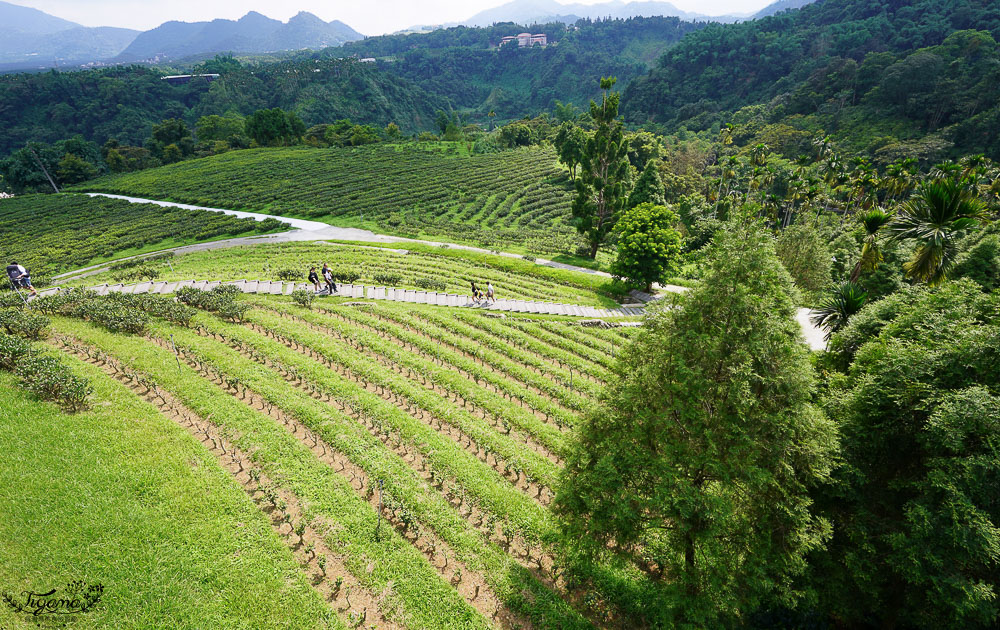 南投景點絕美咖啡莊園，鹿篙咖啡莊園，山間裡的獨棟景觀咖啡廳！！ @緹雅瑪 美食旅遊趣