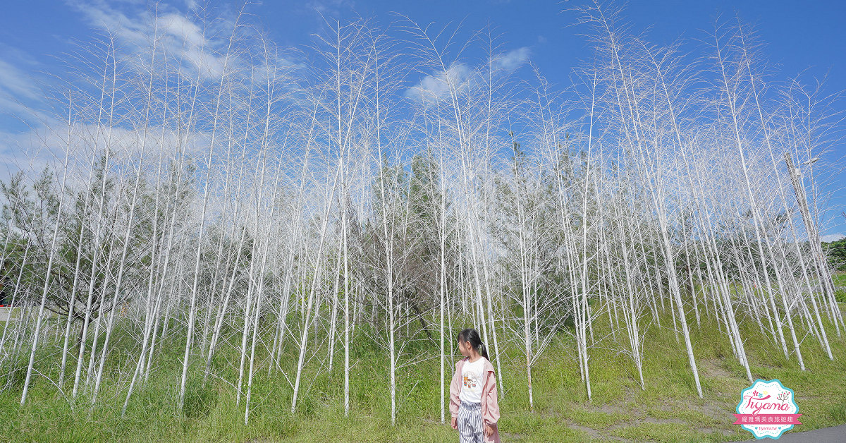 宜蘭免費景點》壯圍沙丘旅遊服務園區，戶外攝影棚般場景的網美景點，蔡明亮導演設計「沙丘展覽館」 @緹雅瑪 美食旅遊趣