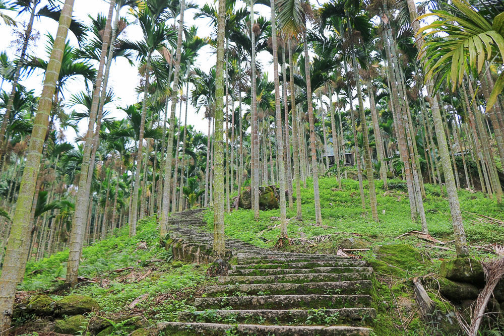 雲林古坑》華山溪吊橋、華山小天梯、情人橋，爬山健行好去處！！ @緹雅瑪 美食旅遊趣