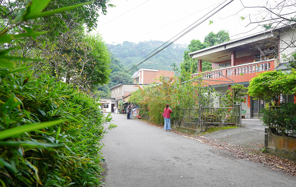 雲林華山古坑一日遊，烘豆咖啡手沖體驗，小天梯&#038;情人橋、文學步道、品美食之旅 @緹雅瑪 美食旅遊趣