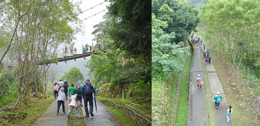 雲林古坑》華山溪吊橋、華山小天梯、情人橋，爬山健行好去處！！ @緹雅瑪 美食旅遊趣