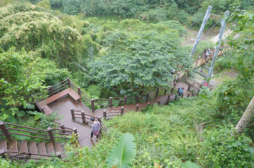 雲林古坑》華山溪吊橋、華山小天梯、情人橋，爬山健行好去處！！ @緹雅瑪 美食旅遊趣