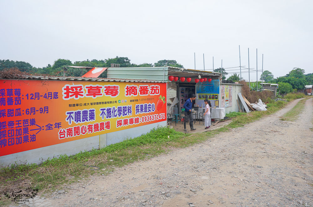 台南草莓園：台南開心有機農場，有機草莓、有機蕃茄開採囉！！ @緹雅瑪 美食旅遊趣