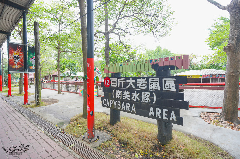 頑皮世界/台南動物園：餵食觸摸長頸鹿、水豚君、羊駝、梅花鹿，還有一票玩到底兒童遊樂園 @緹雅瑪 美食旅遊趣