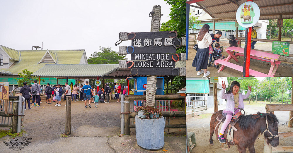 頑皮世界/台南動物園：餵食觸摸長頸鹿、水豚君、羊駝、梅花鹿，還有一票玩到底兒童遊樂園 @緹雅瑪 美食旅遊趣