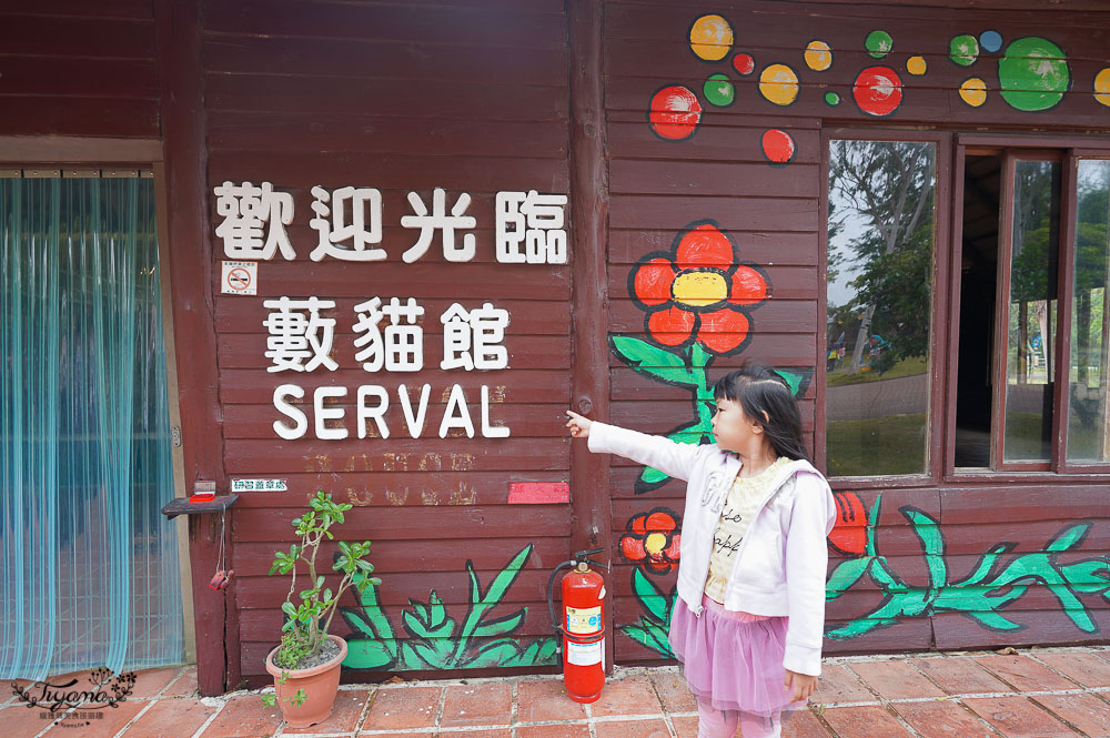 頑皮世界/台南動物園：餵食觸摸長頸鹿、水豚君、羊駝、梅花鹿，還有一票玩到底兒童遊樂園 @緹雅瑪 美食旅遊趣