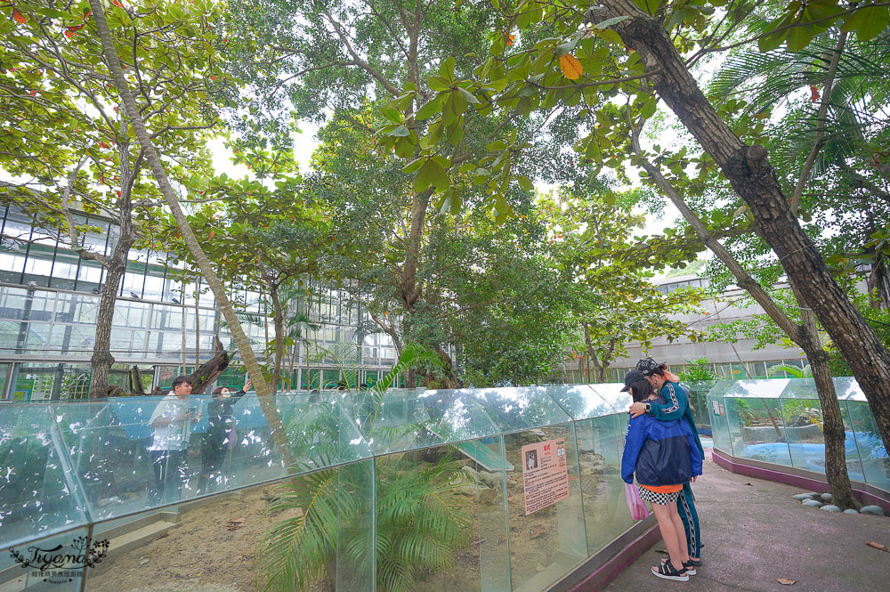 頑皮世界/台南動物園：餵食觸摸長頸鹿、水豚君、羊駝、梅花鹿，還有一票玩到底兒童遊樂園 @緹雅瑪 美食旅遊趣