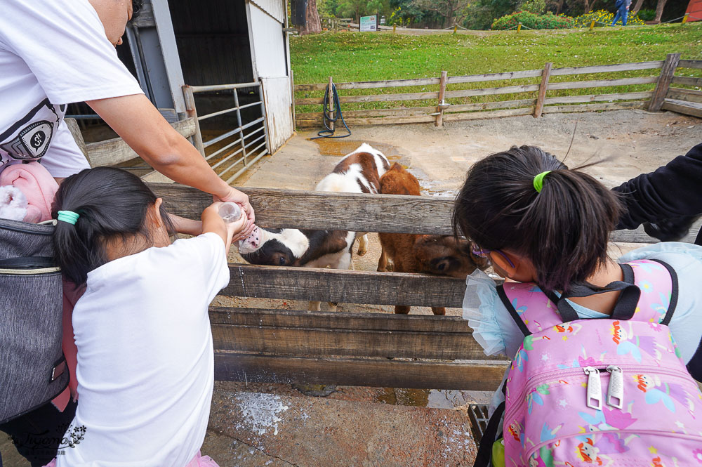 苗栗農場.苗栗景點》飛牛牧場 親子旅遊聖地，擠牛奶、餵小牛、小鴨、小羊~ @緹雅瑪 美食旅遊趣