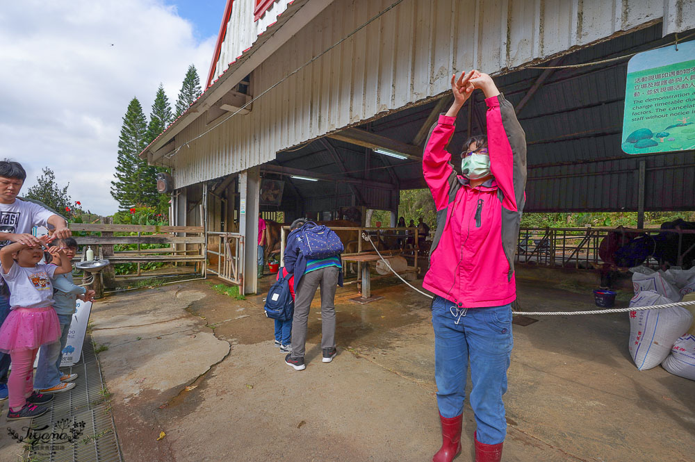 苗栗農場.苗栗景點》飛牛牧場 親子旅遊聖地，擠牛奶、餵小牛、小鴨、小羊~ @緹雅瑪 美食旅遊趣