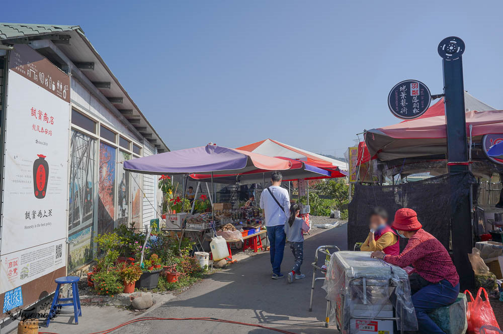 台中落羽松景點》后里泰安·羽粼落羽松，打造網美場景的人氣落羽松景點|泰安國小旁 @緹雅瑪 美食旅遊趣