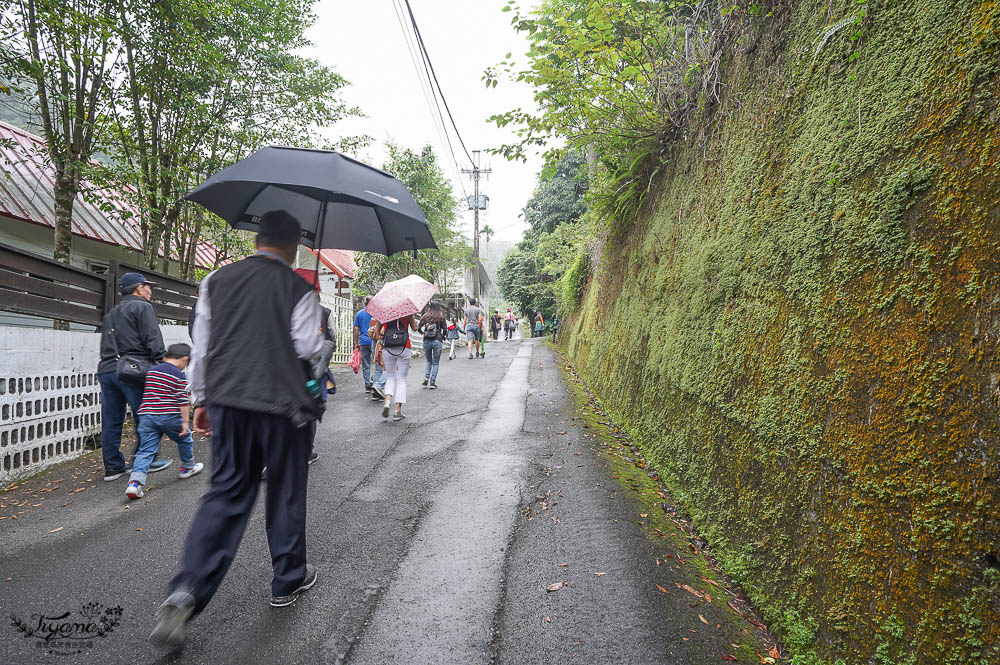 雲林古坑》華山溪吊橋、華山小天梯、情人橋，爬山健行好去處！！ @緹雅瑪 美食旅遊趣