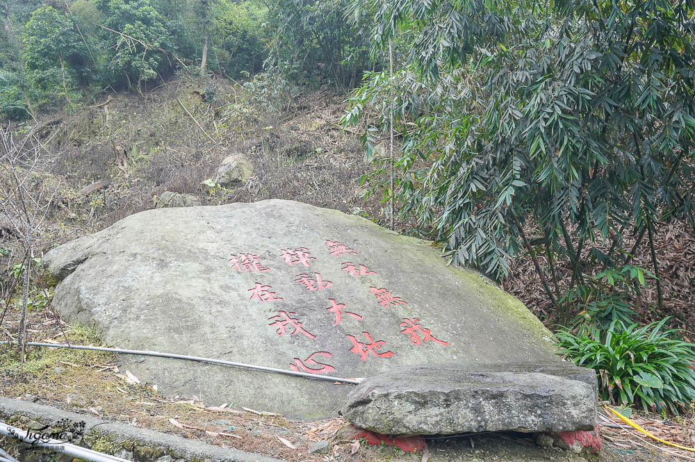 雲林古坑》華山溪吊橋、華山小天梯、情人橋，爬山健行好去處！！ @緹雅瑪 美食旅遊趣