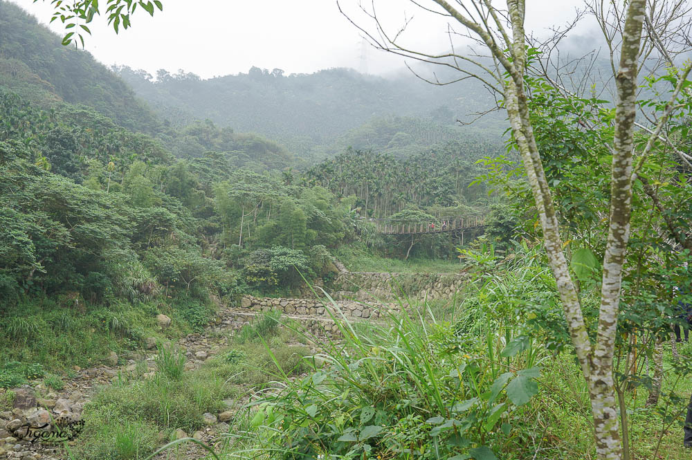 雲林古坑》華山溪吊橋、華山小天梯、情人橋，爬山健行好去處！！ @緹雅瑪 美食旅遊趣