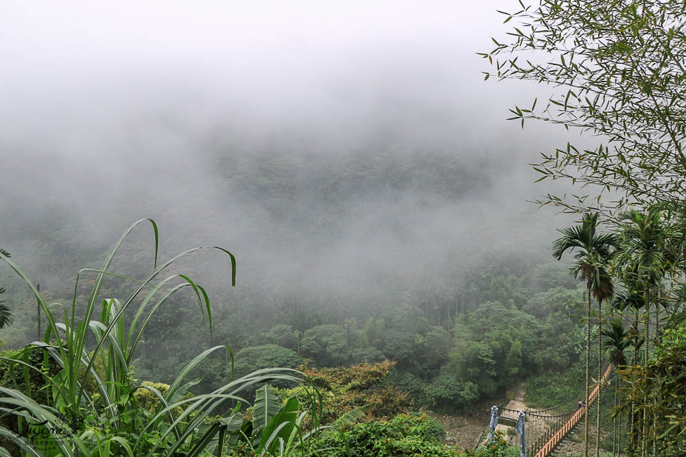 雲林古坑》華山溪吊橋、華山小天梯、情人橋，爬山健行好去處！！ @緹雅瑪 美食旅遊趣