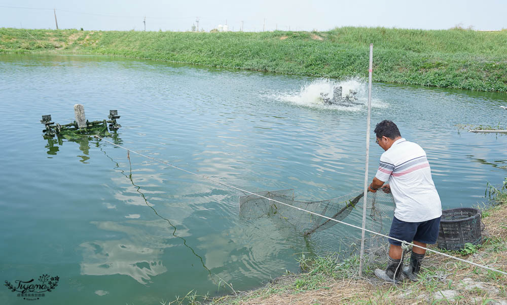 亮哥生態風味體驗養殖場：巨大白蝦料理、鰻魚鯛魚料理，品現撈海產漁塭美食，生態養殖場導覽解說 @緹雅瑪 美食旅遊趣