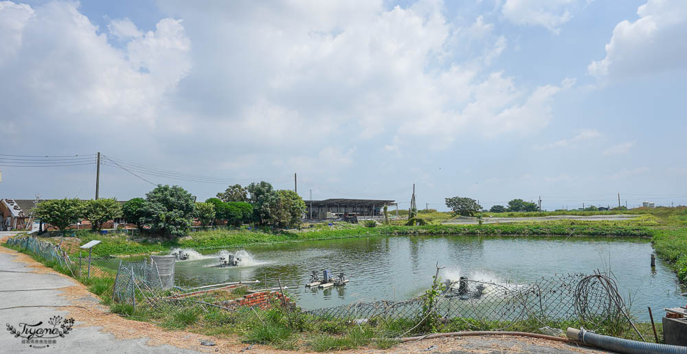 亮哥生態風味體驗養殖場：巨大白蝦料理、鰻魚鯛魚料理，品現撈海產漁塭美食，生態養殖場導覽解說 @緹雅瑪 美食旅遊趣