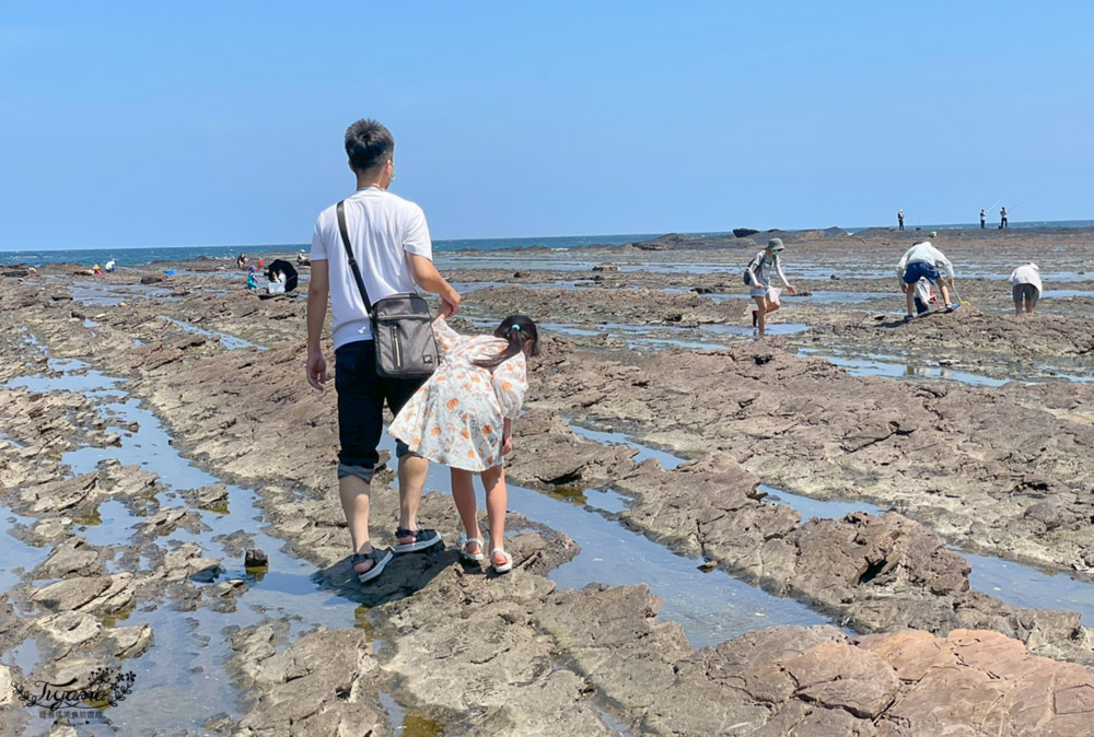 東北角海岸抓魚蟹景點|馬崗潮間帶：親子免費景點，天然翠綠地毯，充滿魅力的潮間帶生態！ @緹雅瑪 美食旅遊趣