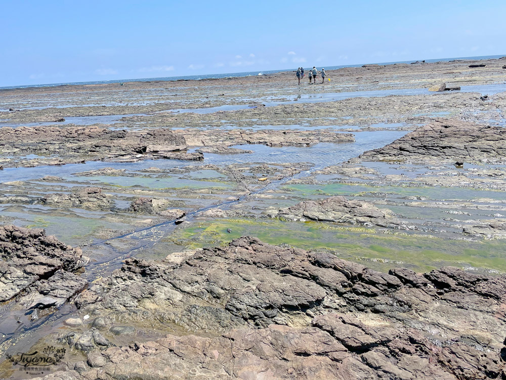 東北角海岸抓魚蟹景點|馬崗潮間帶：親子免費景點，天然翠綠地毯，充滿魅力的潮間帶生態！ @緹雅瑪 美食旅遊趣