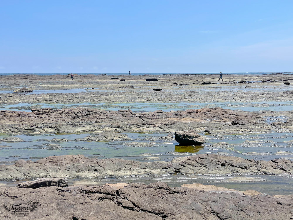 東北角海岸抓魚蟹景點|馬崗潮間帶：親子免費景點，天然翠綠地毯，充滿魅力的潮間帶生態！ @緹雅瑪 美食旅遊趣