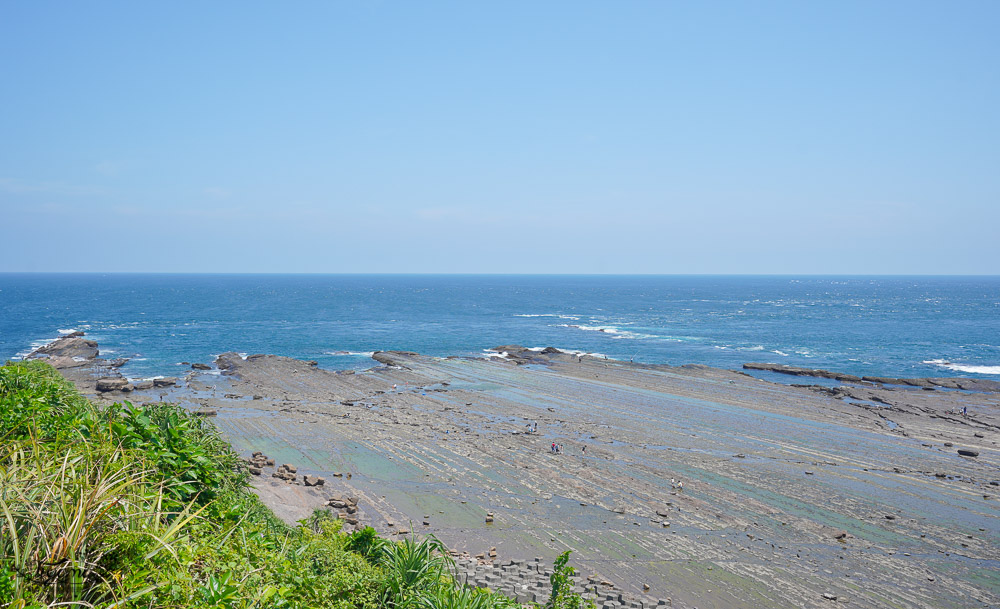 東北角海岸抓魚蟹景點|馬崗潮間帶：親子免費景點，天然翠綠地毯，充滿魅力的潮間帶生態！ @緹雅瑪 美食旅遊趣