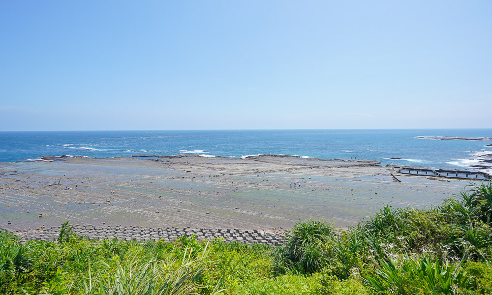 東北角海岸抓魚蟹景點|馬崗潮間帶：親子免費景點，天然翠綠地毯，充滿魅力的潮間帶生態！ @緹雅瑪 美食旅遊趣