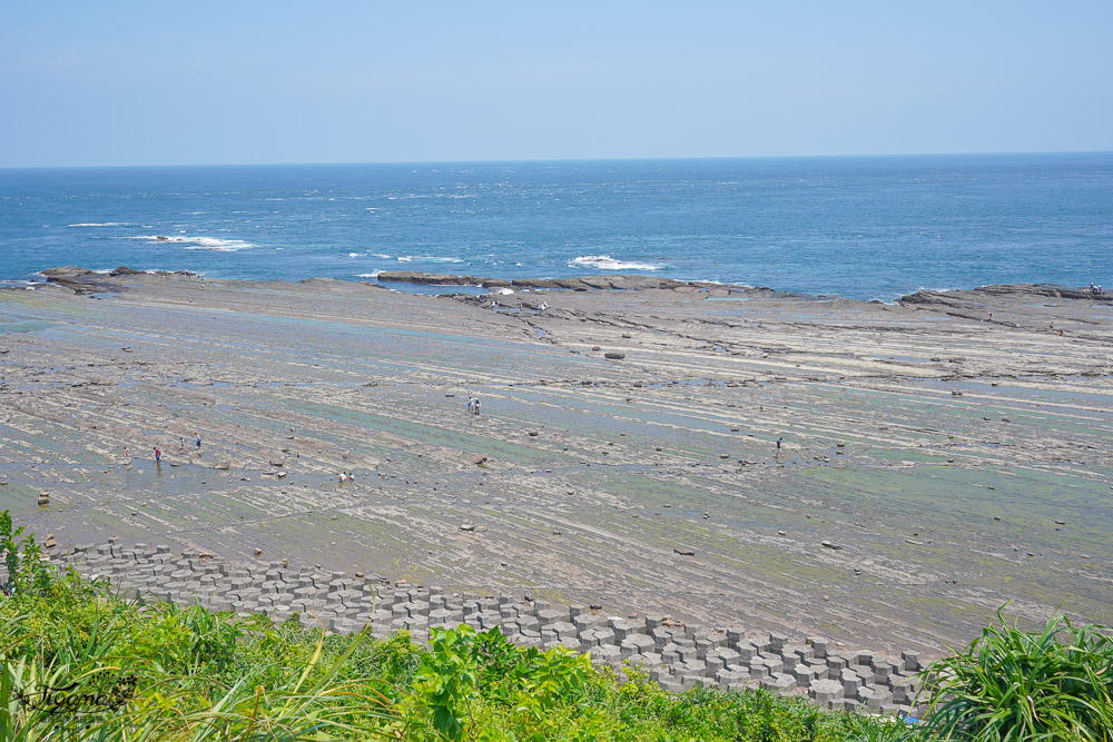 東北角海岸抓魚蟹景點|馬崗潮間帶：親子免費景點，天然翠綠地毯，充滿魅力的潮間帶生態！ @緹雅瑪 美食旅遊趣