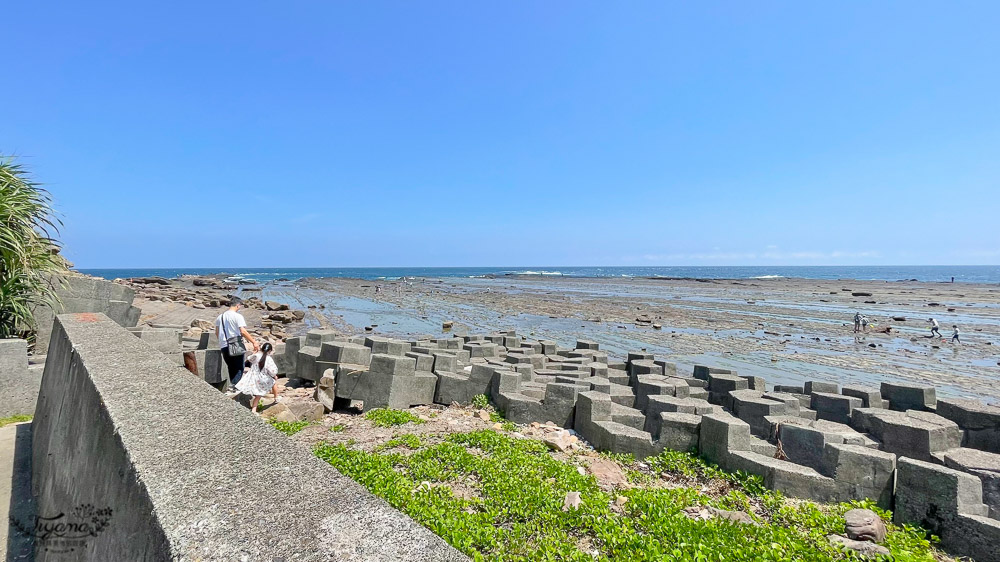 東北角海岸抓魚蟹景點|馬崗潮間帶：親子免費景點，天然翠綠地毯，充滿魅力的潮間帶生態！ @緹雅瑪 美食旅遊趣